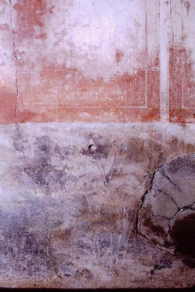 I.7.7 Pompeii, 1968. Detail of painted plants from north portico. Photo by Stanley A. Jashemski.
Source: The Wilhelmina and Stanley A. Jashemski archive in the University of Maryland Library, Special Collections (See collection page) and made available under the Creative Commons Attribution-Non Commercial License v.4. See Licence and use details.
J68f0430