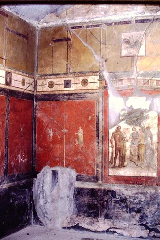 I.7.7 Pompeii. 1968. 
North-west corner and north wall of triclinium. Photo by Stanley A. Jashemski.
Source: The Wilhelmina and Stanley A. Jashemski archive in the University of Maryland Library, Special Collections (See collection page) and made available under the Creative Commons Attribution-Non Commercial License v.4. See Licence and use details.
J68f0723
Kuivalainen, describing the panel at the west end of the north wall �
�A simple thin candelabrum divides a red side panel into two. 
On the right, a youth (young half-naked Bacchus) is standing with his weight on his right foot and his outstretched arm above a panther; his lower body is covered with a greenish-grey cloak, the sleeve of which is on his left arm. The panther is painted in movement forwards and light tones, with only the fore part of the body visible; its back is behind the youth.�
See Kuivalainen, I., 2021. The Portrayal of Pompeian Bacchus. Commentationes Humanarum Litterarum 140. Helsinki: Finnish Society of Sciences and Letters, (p.108-9, C4).
