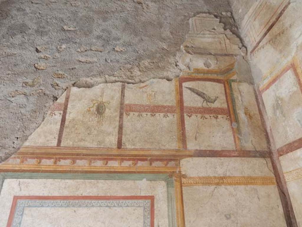 I.7.11 Pompeii. May 2017. Upper centre and east end of north wall,
Photo courtesy of Buzz Ferebee.