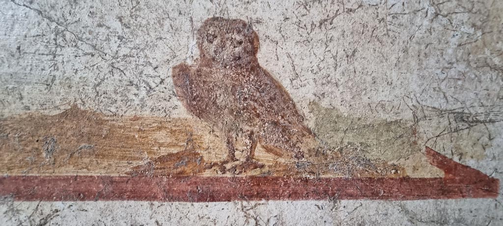 I.7.11 Pompeii. December 2023.
Detail of owl, one of the attributes of Minerva/Athena in centre panel of north wall. Photo courtesy of Miriam Colomer.