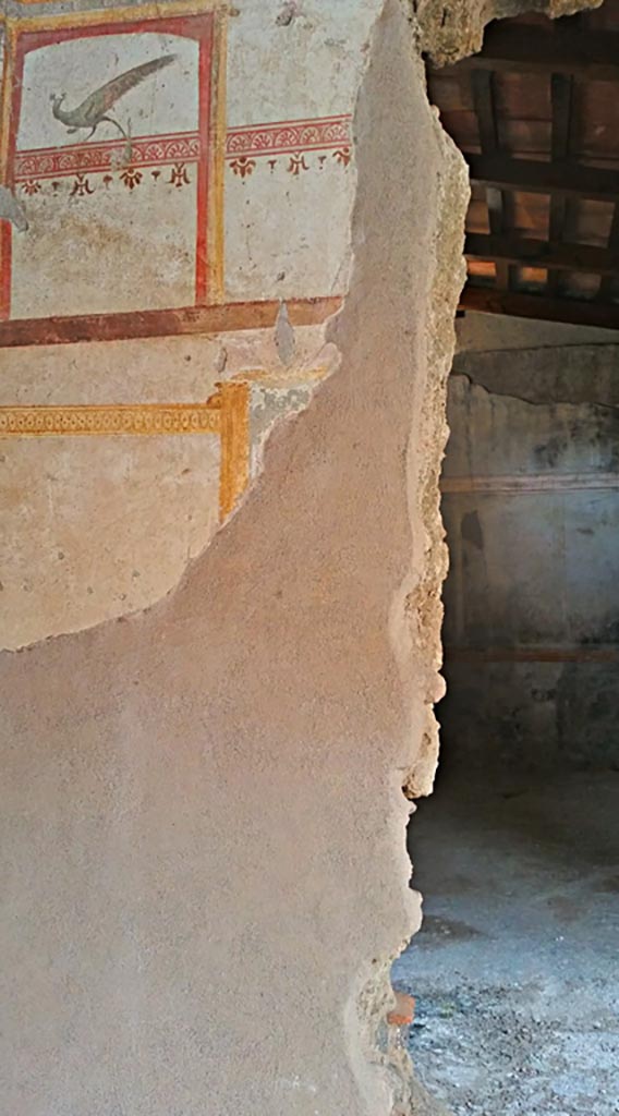 I.7.11 Pompeii. 2017/2018/2019.
South wall in south-east corner of cubiculum. Photo courtesy of Giuseppe Ciaramella.