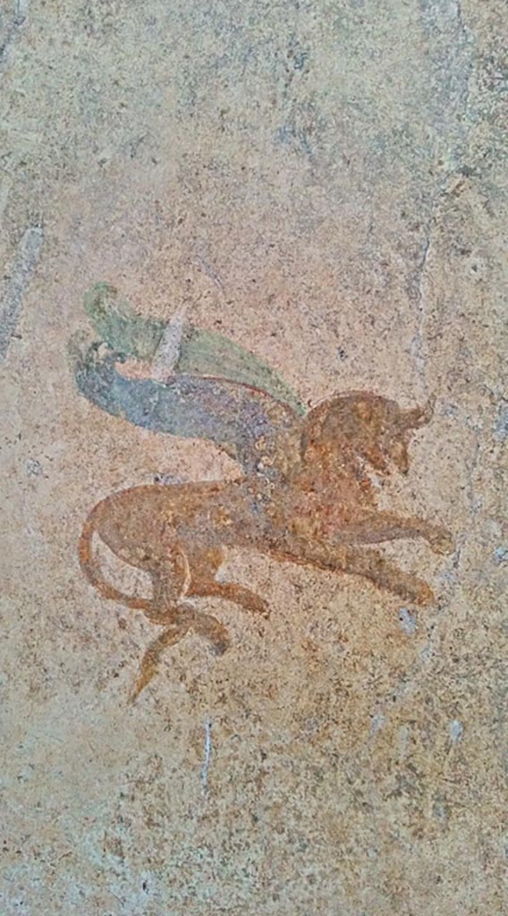 I.7.11 Pompeii. 2017/2018/2019.
Detail from centre of painted panel on west wall of cubiculum. Photo courtesy of Giuseppe Ciaramella.