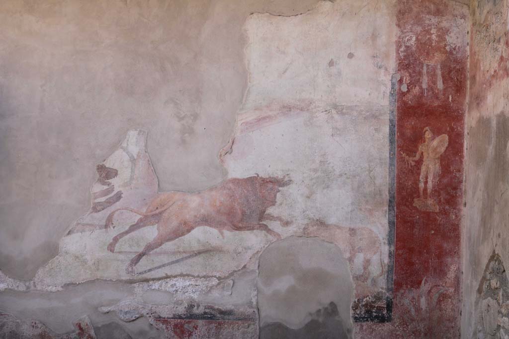 I.7.12 Pompeii. December 2018.
Decorated south wall and south-west corner with painting of bull in hunting scene, and naked armed warrior. Photo courtesy of Aude Durand.