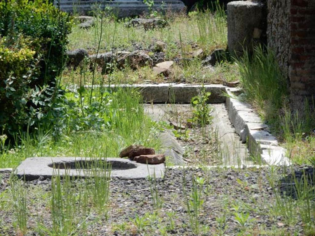 I.8.5 Pompeii. May 2015. Looking south across garden area, from tablinum.
Photo courtesy of Buzz Ferebee. According to Jashemski, the garden was enclosed by a portico on the south, east and north sides. The west side portico had been enclosed to make rooms. A gutter outlined the four edges of the garden.
See Jashemski, W. F., 1993. The Gardens of Pompeii, Volume II: Appendices. New York: Caratzas, (p.42)