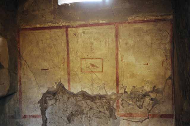 I.8.9 Pompeii. March 2009. Room 7. Triclinium. Looking north from portico.,