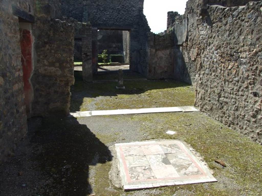 I.8.9 Pompeii. March 2009. Room 2. Oecus. Emblema of mixed marble coloured squares, in centre of floor. Looking south.
