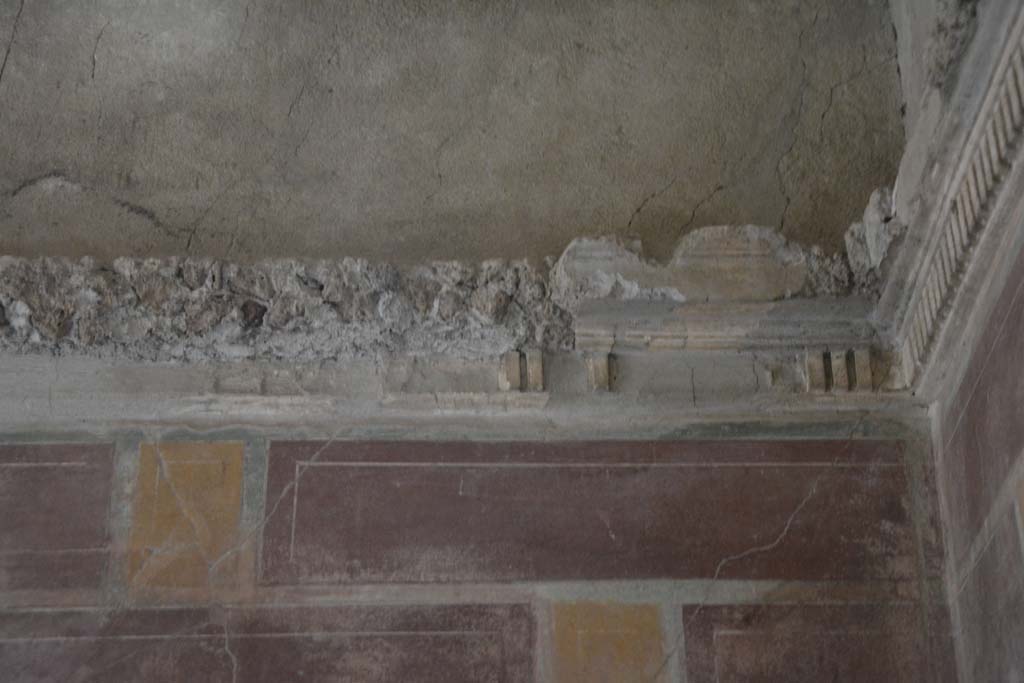 I.8.17 Pompeii. March 2019. Room 12, upper west wall in north-west corner, detail of stucco cornice.
Foto Annette Haug, ERC Grant 681269 D�COR.

