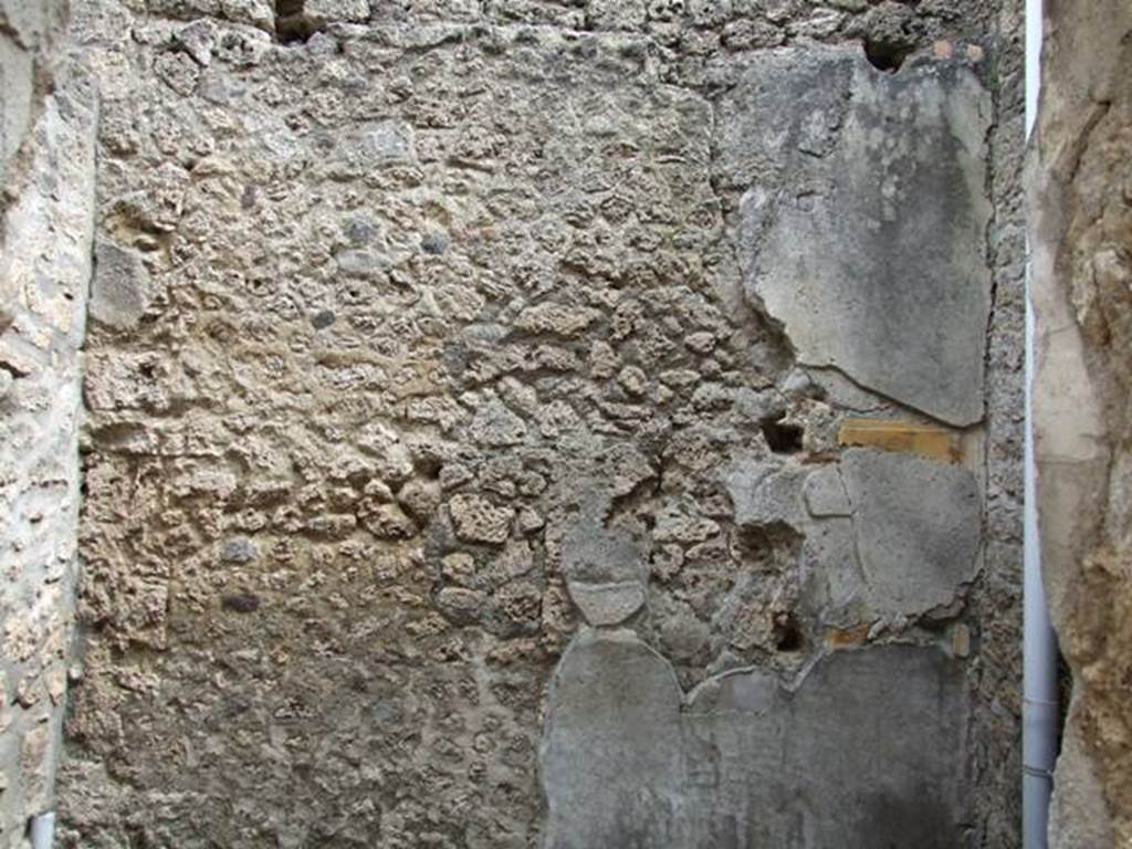 I.9.1 Pompeii. March 2009. Room 12, East wall.