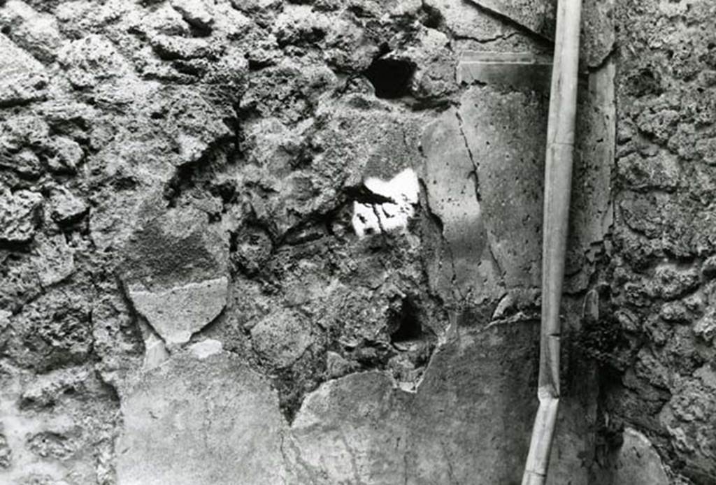I.9.1 Pompeii. 1975. House of the Beautiful Impluvium, last room left, back E wall.
Photo courtesy of Anne Laidlaw.
American Academy in Rome, Photographic Archive. Laidlaw collection _P_75_5_13.