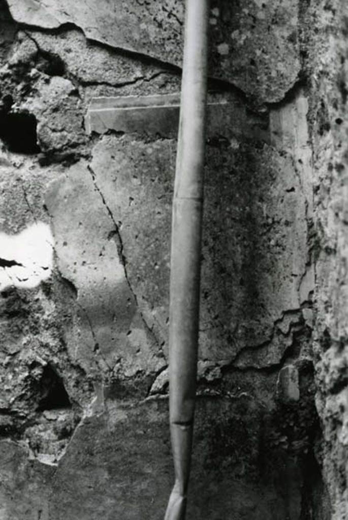 I.9.1 Pompeii. 1975. House of the Beautiful Impluvium, last room left, back E wall.
Photo courtesy of Anne Laidlaw.
American Academy in Rome, Photographic Archive. Laidlaw collection _P_75_5_14.