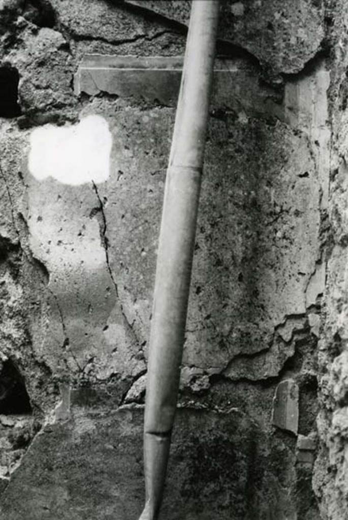 I.9.1 Pompeii. 1975. House of the Beautiful Impluvium, last room left, E wall by SE corner, general view, detail of orthostat and bottom of narrow one. Photo courtesy of Anne Laidlaw.
American Academy in Rome, Photographic Archive. Laidlaw collection _P_75_5_15.