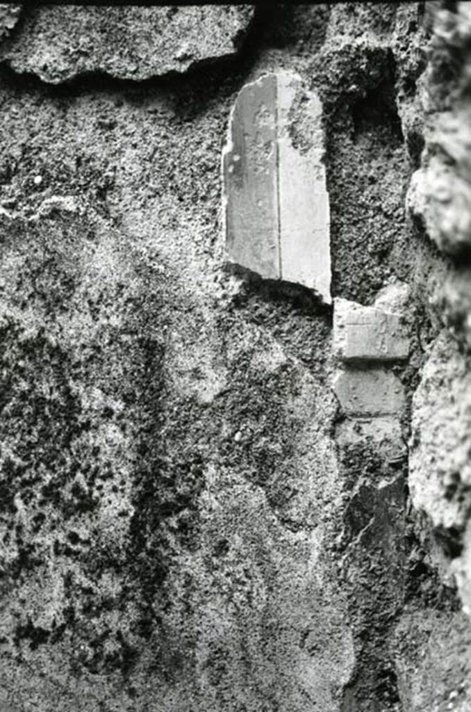 I.9.1 Pompeii. 1975. House of the Beautiful Impluvium, last room left, E wall by SE corner, general view, detail of orthostat and bottom of narrow one. Photo courtesy of Anne Laidlaw.
American Academy in Rome, Photographic Archive. Laidlaw collection _P_75_5_16.