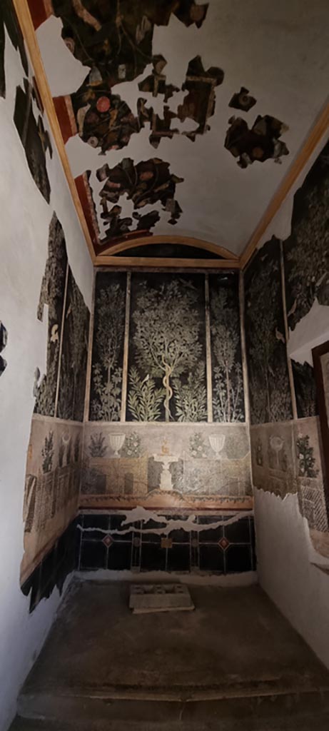 I.9.5 Pompeii. December 2023.
Room 11, looking east from doorway. Photo courtesy of Miriam Colomer.