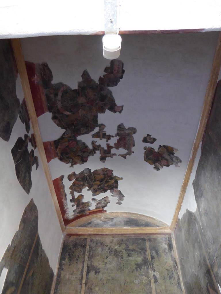 I.9.5 Pompeii. September 2017. Room 11, looking east along ceiling.
Foto Annette Haug, ERC Grant 681269 DÉCOR.