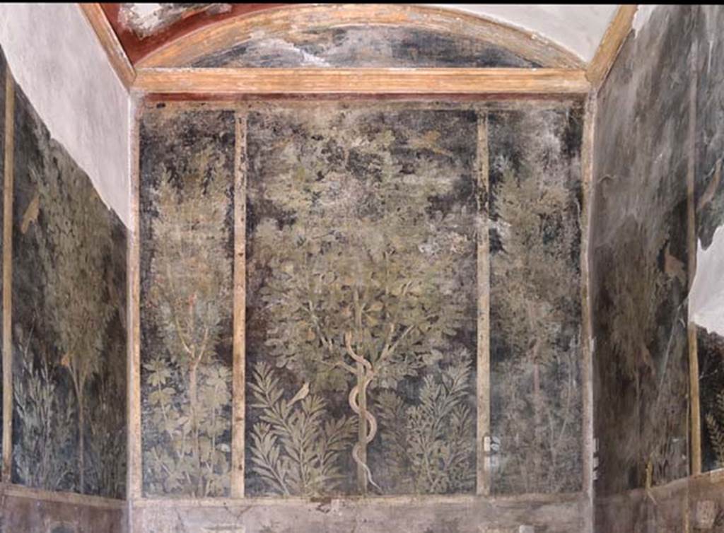 I.9.5 Pompeii. April 2018. Room 11, detail of upper east wall. Photo courtesy of Ian Lycett-King.
Use is subject to Creative Commons Attribution-NonCommercial License v.4 International.
