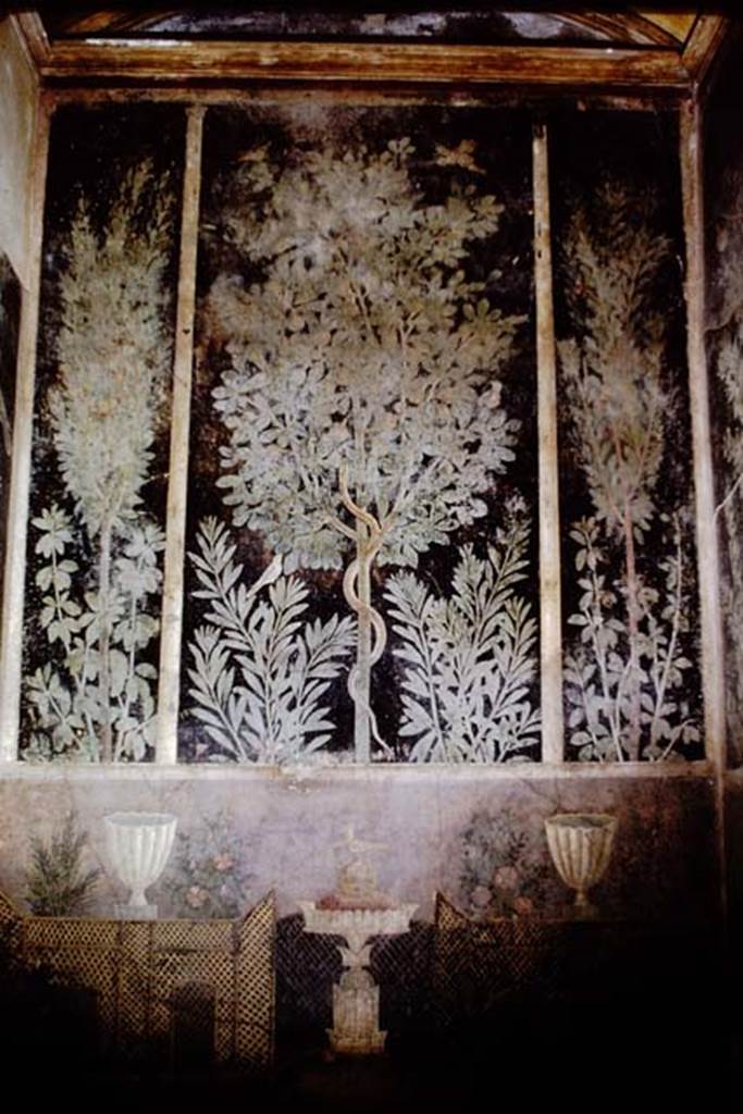 1.9.5 Pompeii. 1966. Room 11, painted east wall. Photo by Stanley A. Jashemski.
Source: The Wilhelmina and Stanley A. Jashemski archive in the University of Maryland Library, Special Collections (See collection page) and made available under the Creative Commons Attribution-Non Commercial License v.4. See Licence and use details.
J66f0670