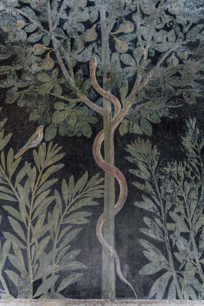 I.9.5 Pompeii. April 2022.
Room 11, east wall of cubiculum with painting of a snake in a fig tree with birds.
Photo courtesy of Johannes Eber.