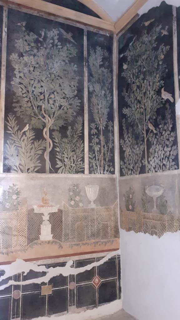 I.9.5 Pompeii. July 2021.
Room 11, looking towards east wall, south-east corner, and south wall.
Photo courtesy of Davide Peluso.