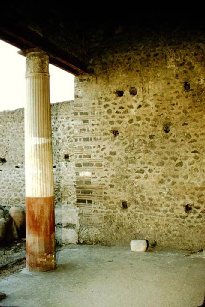 I.9.5 Pompeii. 1957. Looking west across north portico. Photo by Stanley A. Jashemski.
Source: The Wilhelmina and Stanley A. Jashemski archive in the University of Maryland Library, Special Collections (See collection page) and made available under the Creative Commons Attribution-Non Commercial License v.4. See Licence and use details.
J57f0480