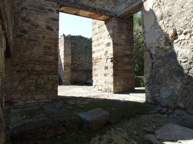 I.9.5 Pompeii. March 2009. Room 12. Portico floor.