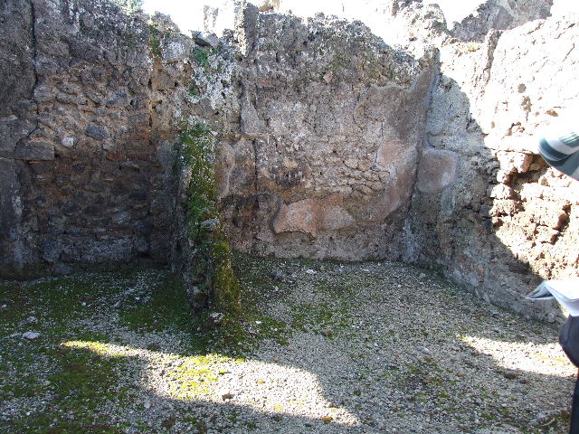 I.9.9 Pompeii. December 2006. West wall of rear room or garden area?.