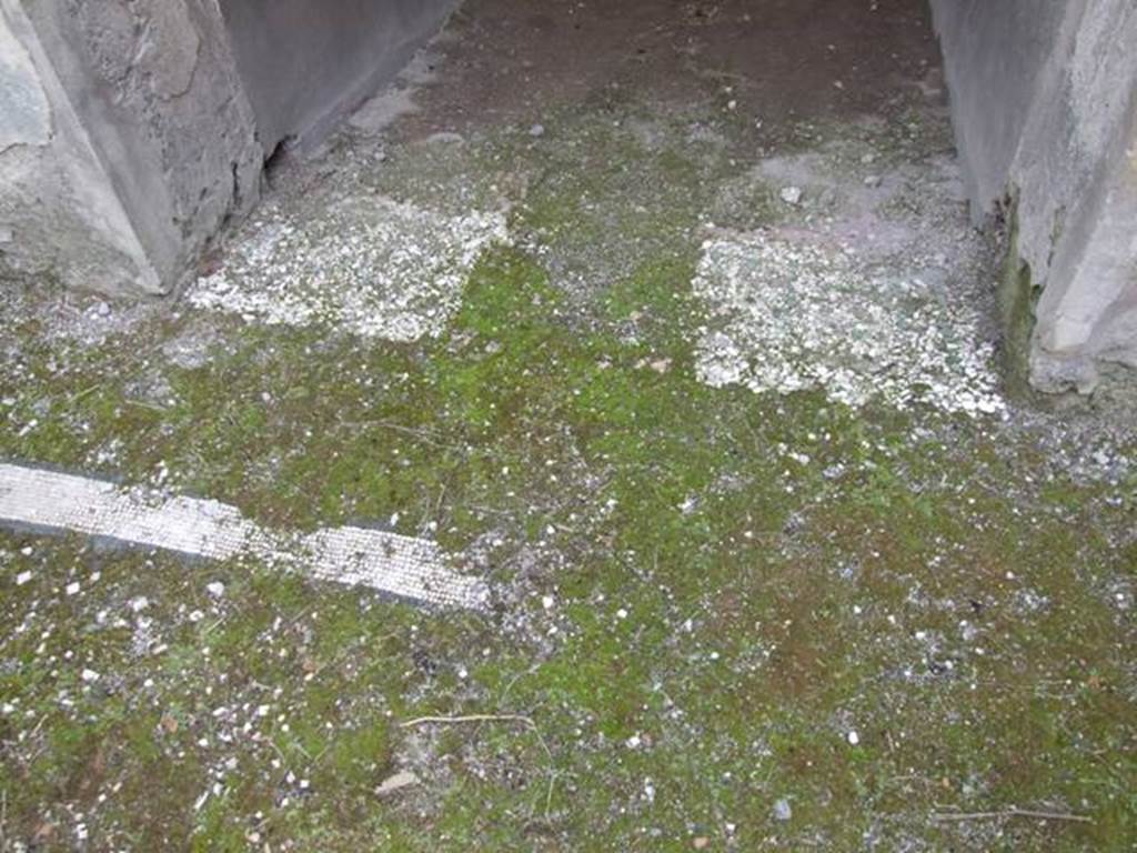 I.9.14 Pompeii. March 2009. Room 14. Fauces. Floor between atrium and fauces. Looking south from atrium.