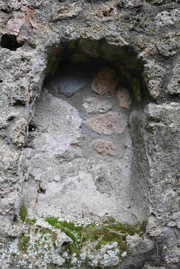I.10.1 Pompeii. December 2018.
Detail of the larger niche from south wall. Photo courtesy of Aude Durand.