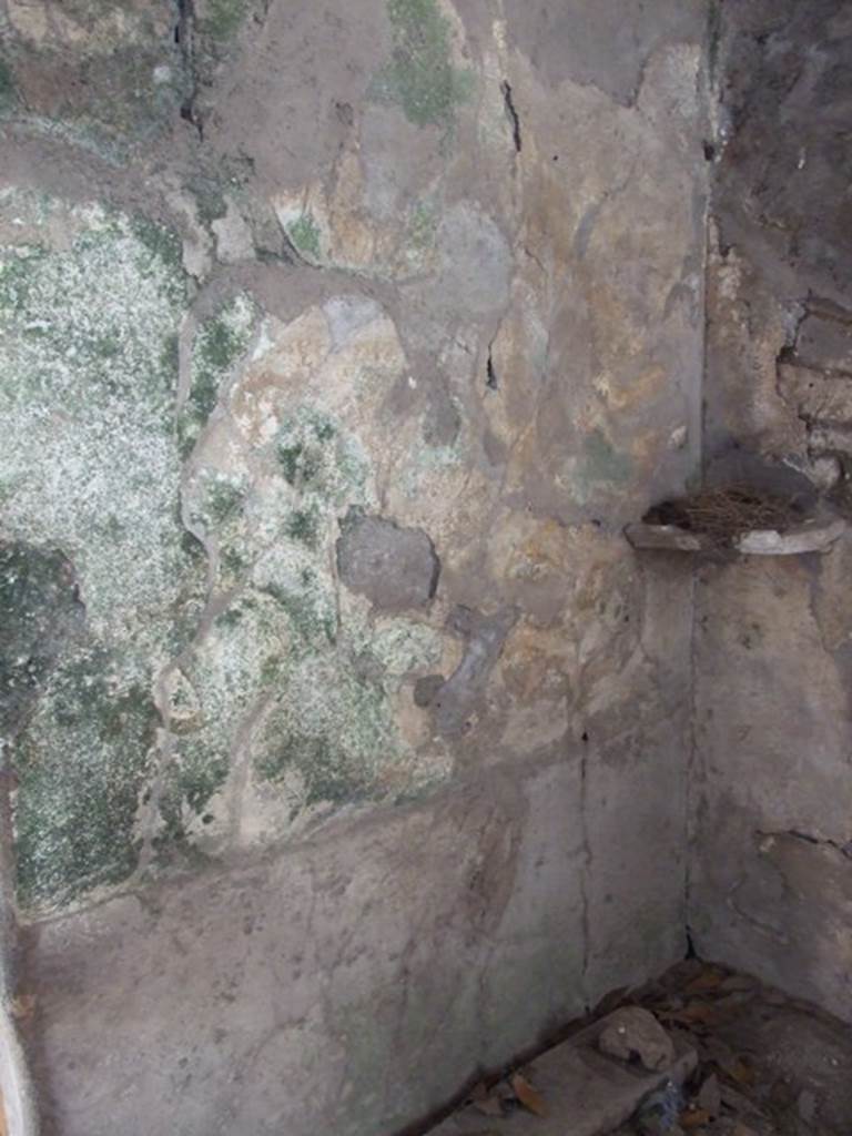 I.10.7 Pompeii. March 2009. Room 9, south wall.  
Remains of lararium, with painting of two serpents.
According to Boyce, the west end of the portico was closed off as a kitchen.
On the south wall beside the large hearth was a panel of white stucco.
Within were painted two large coiling serpents, yellow with scales indicated in red.
Both have a crest and beard and a protruding tongue.
Both coil from the left, one above the other, approaching a marble slab adorned with a lion�s head in relief.
This was set into the corner formed by the hearth and the south wall of the room at the level of their heads.
In the background were plants.
See Notizie degli Scavi di Antichit�, 1934, 282, and fig.8.
See Boyce G. K., 1937. Corpus of the Lararia of Pompeii. Rome: MAAR 14. (p.29, no.56, and Pl.27, 2) 

