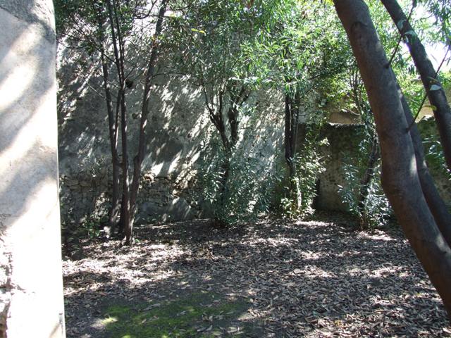 I.10.7 Pompeii. March 2009. Room 8. Painted garden decoration around the lower section of the walls.