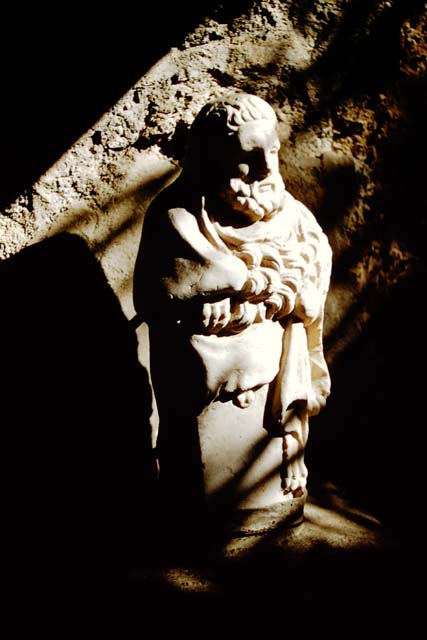 I.10.7 Pompeii. March 2009. Room 9, remains of lararium on south wall.
The heads of the two serpents, one above the other, can just be made out slightly above the white marble shelf.