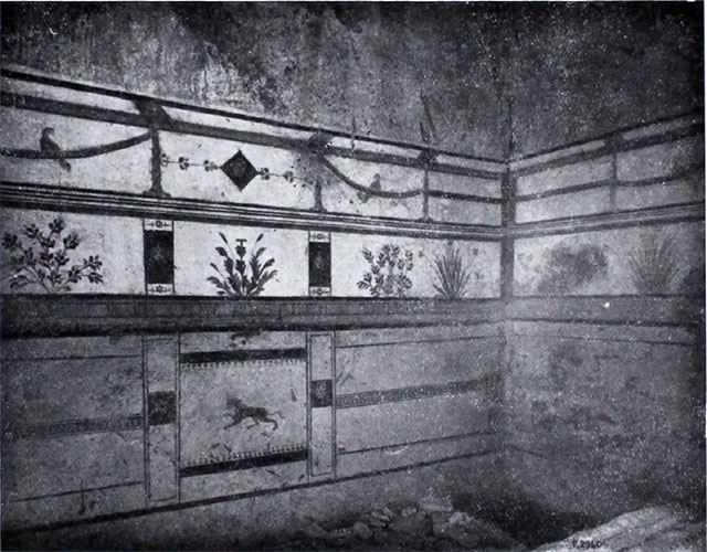 I.10.8 Pompeii. March 2009. Room 8, east wall of tablinum with painted plant decorations.