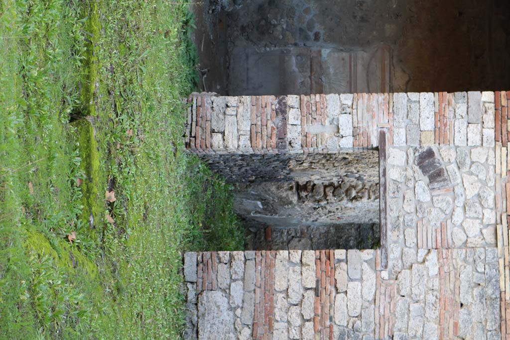 I.10.8 Pompeii.  March 2009.  Room 14. Garden. South wall.