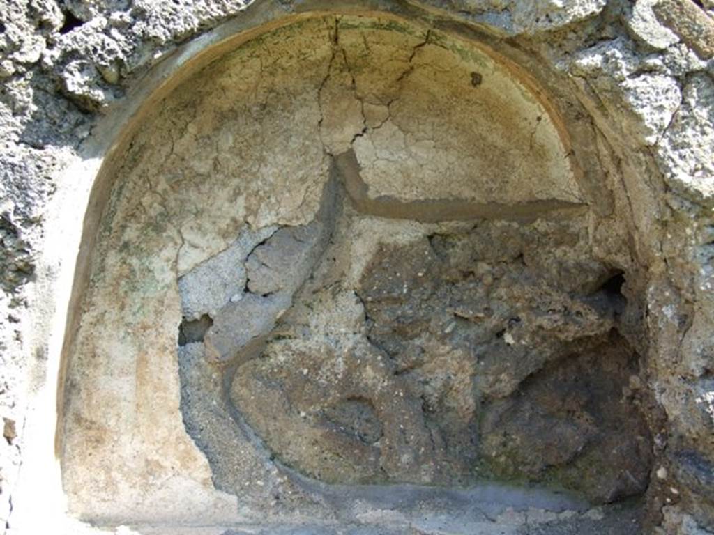 I.10.8 Pompeii. March 2009. Room 14, arched niche.
According to Boyce and Giacobello, in the east wall of the garden was an arched niche with a very thick projecting floor.
The side walls were yellow, and the rear wall was white, and upon it was a painting.
Of this painting only, a green tree was visible to Boyce in 1937.
On the white surface of the wall to the left of the niche, a Lar was painted in blue garments. He held as situla in his lowered right hand but his left was not preserved.
See Notizie degli Scavi di Antichit�, 1934, p. 316.
See Boyce G. K., 1937. Corpus of the Lararia of Pompeii. Rome: MAAR 14. (p.29, no.58) 
See Giacobello, F., 2008. Larari Pompeiani: Iconografia e culto dei Lari in ambito domestico.  Milano: LED Edizioni. (p.257)

