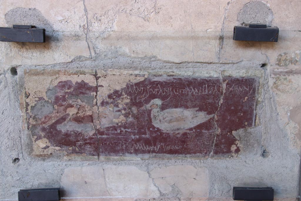 I.10.11 Pompeii. October 2022. Room 10, east wall of peristyle, on south side of doorway to room 13. Photo courtesy of Klaus Heese. 