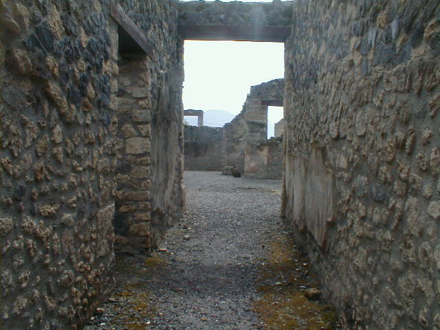 I.11.5 Casa di Lollius Synhodus or Casa di Lucius Habonius Primus. Garden wall in south west corner.