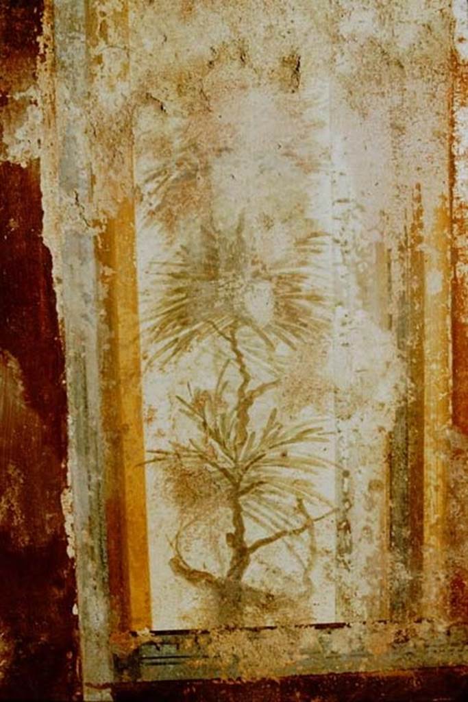 I.11.6 Pompeii. 1957. Detail from south end of east wall of triclinium.
Photo by Stanley A. Jashemski.
Source: The Wilhelmina and Stanley A. Jashemski archive in the University of Maryland Library, Special Collections (See collection page) and made available under the Creative Commons Attribution-Non Commercial License v.4. See Licence and use details.
J57f0332