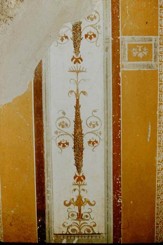 I.11.6 Pompeii. 1957. Room 7, detail from west end of north wall of triclinium. Photo by Stanley A. Jashemski.
Source: The Wilhelmina and Stanley A. Jashemski archive in the University of Maryland Library, Special Collections (See collection page) and made available under the Creative Commons Attribution-Non Commercial License v.4. See Licence and use details.
J57f0334