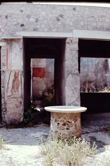 I.12.3 Pompeii.  March 2009.  Room 4.  Lararium.  Detail of Lar.