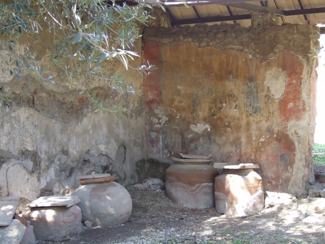 I.12.8 Pompeii. March 2009. Room. 7. Looking north from large doorway to south portico of peristyle garden.