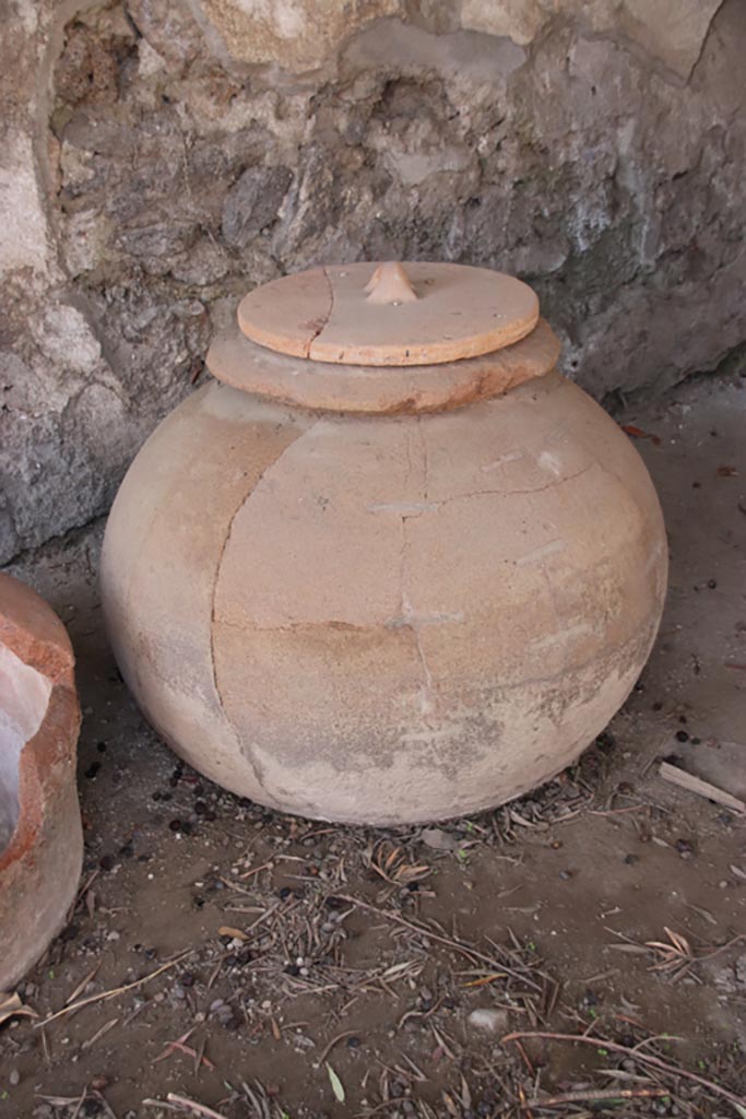 I.12.8 Pompeii. October 2022.
Large terracotta pot in north-west corner of peristyle 9. Photo courtesy of Klaus Heese.