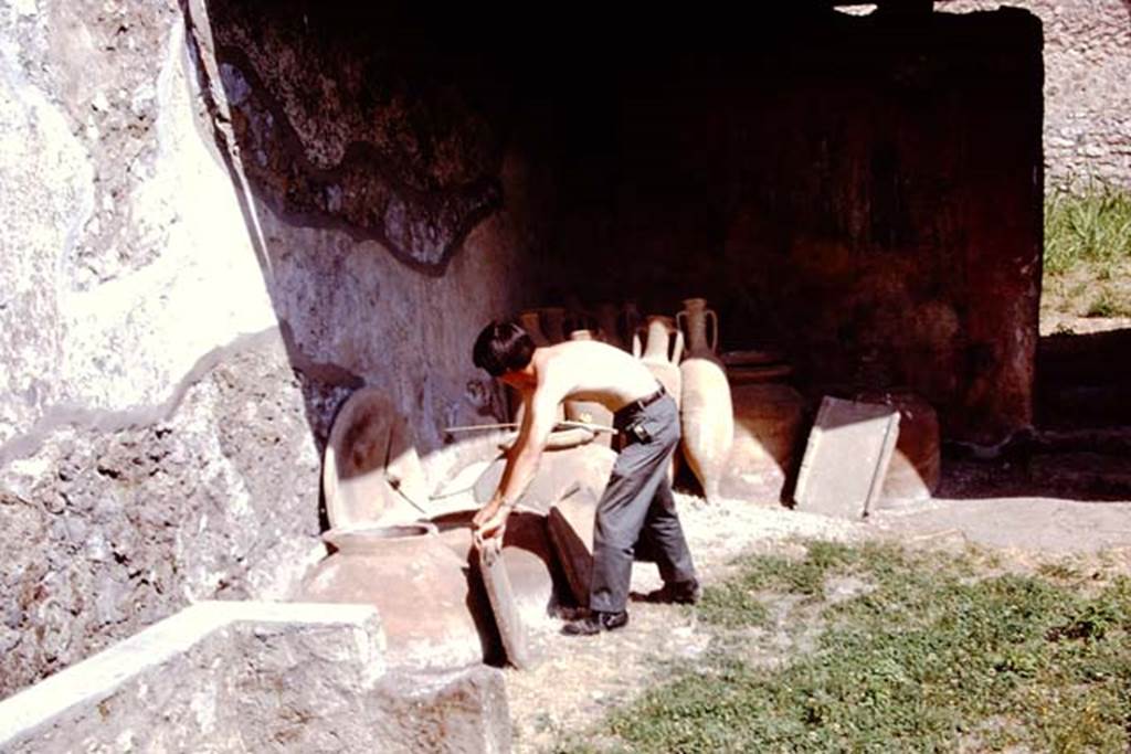 I.12.8 Pompeii, 1973. Room 9, looking north to north-west corner of peristyle garden.
Photo by Stanley A. Jashemski.
Source: The Wilhelmina and Stanley A. Jashemski archive in the University of Maryland Library, Special Collections (See collection page) and made available under the Creative Commons Attribution-Non Commercial License v.4. See Licence and use details. J73f0219