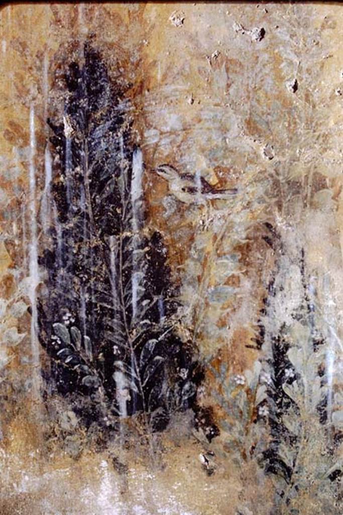 I.12.8 Pompeii. 1968. Room 9, detail from garden painting on west side of north wall.
Photo by Stanley A. Jashemski.
Source: The Wilhelmina and Stanley A. Jashemski archive in the University of Maryland Library, Special Collections (See collection page) and made available under the Creative Commons Attribution-Non Commercial License v.4. See Licence and use details.
J68f1280