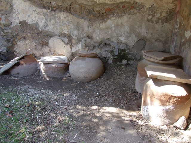 I.12.8 Pompeii. March 2009. Room 9, details of painted plants on east side of north wall with garden painting. 