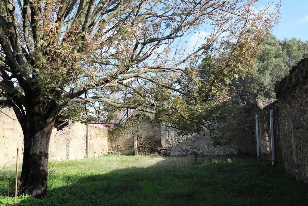 1.12.14 Pompeii. December 2007. Looking west along north wall.