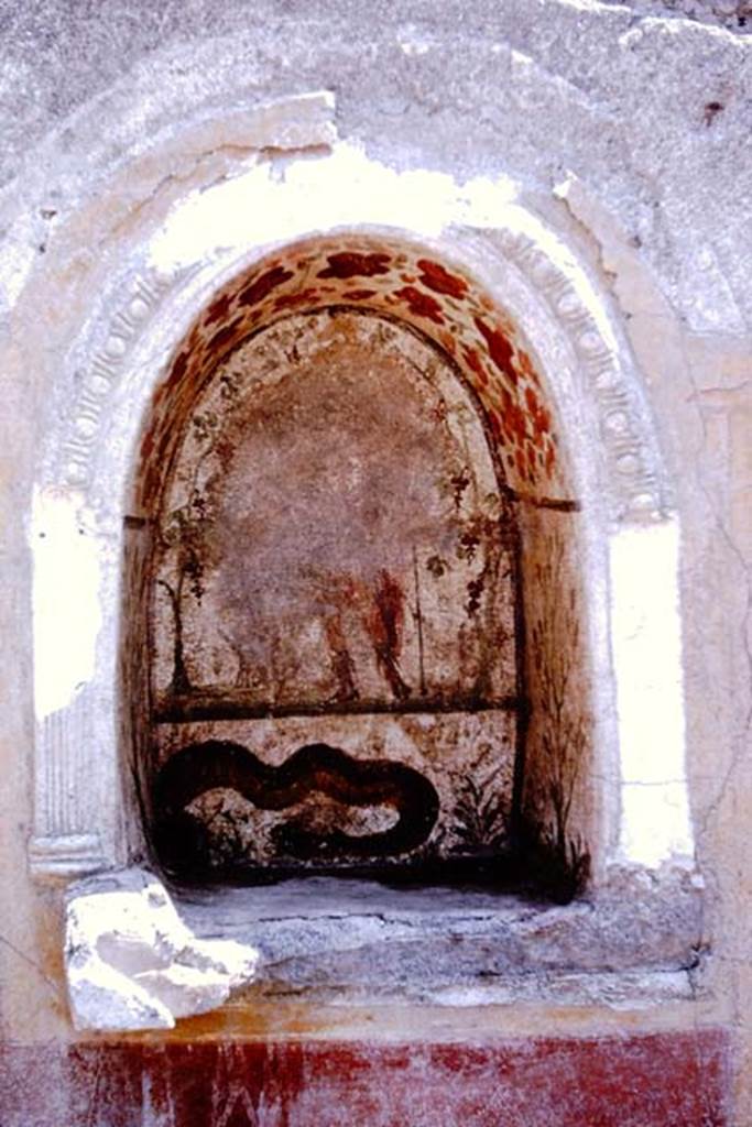 I.12.16 Pompeii. 1964. Room 1, niche on south wall of atrium. Photo by Stanley A. Jashemski.
Source: The Wilhelmina and Stanley A. Jashemski archive in the University of Maryland Library, Special Collections (See collection page) and made available under the Creative Commons Attribution-Non Commercial License v.4. See Licence and use details.
J64f1715
Kuivalainen describes this as III Style �
�A youth stands on a simple dark terrain line against a white background. His weight is on his right foot and he wears boots and a long red cloak reaching the calves: in his right hand he probably holds a vessel, in his raised left hand a thyrsus with leaves. A panther sits on his left side, facing him. On the extreme left grows a vine, which forms an arch above the composition. On the vault there are red and orange flowers. Below is a lower zone with a huge slithering snake.�
Kuivalainen comments �
�A young half-naked Bacchus offering wine to a panther. A lone Bacchus in a lararium is a rare scene. Separate figurines were certainly added in front of the serpent.�
See Kuivalainen, I., 2021. The Portrayal of Pompeian Bacchus. Commentationes Humanarum Litterarum 140. Helsinki: Finnish Society of Sciences and Letters, (p.114-15, C14).

