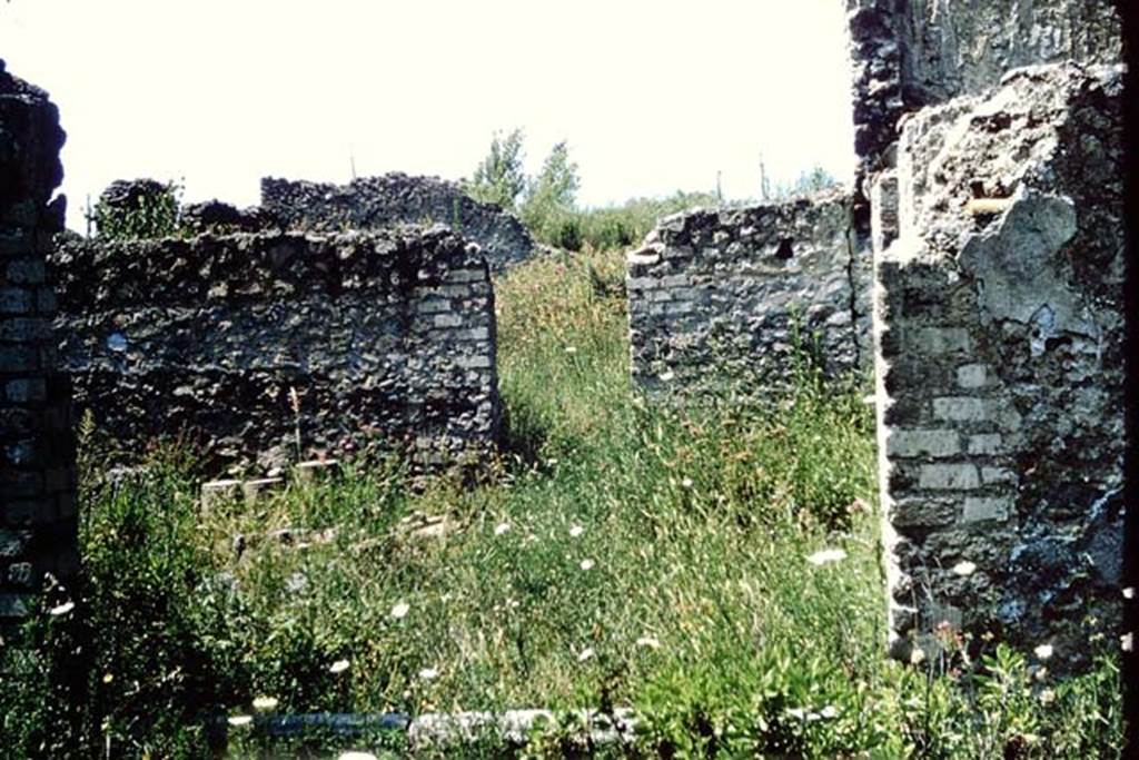 I.13.12 Pompeii. 1964. Looking north through window from atrium towards garden area, at I.13.14. Photo by Stanley A. Jashemski.
Source: The Wilhelmina and Stanley A. Jashemski archive in the University of Maryland Library, Special Collections (See collection page) and made available under the Creative Commons Attribution-Non Commercial License v.4. See Licence and use details.
J64f1644