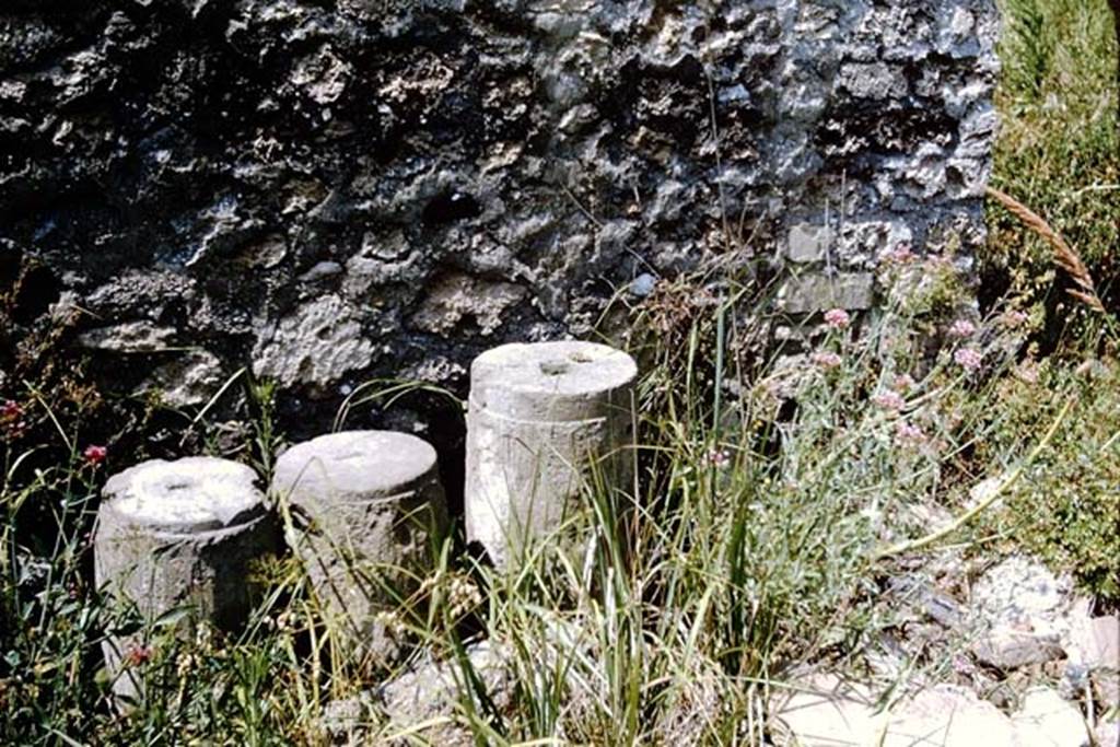 I.13.12 Pompeii. 1964. Garden area, with column remains. Photo by Stanley A. Jashemski.
Source: The Wilhelmina and Stanley A. Jashemski archive in the University of Maryland Library, Special Collections (See collection page) and made available under the Creative Commons Attribution-Non Commercial License v.4. See Licence and use details.
J64f1643