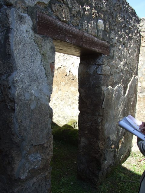 I.13.15 Pompeii. March 2009.  North wall of central courtyard, with niche.