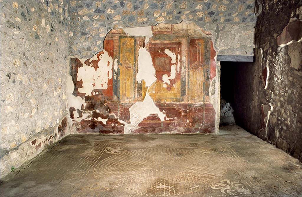 I.14.2 Pompeii. Room H, east wall and mosaic floor. Fig. 161 Oecus H, vue ouest / est (� CNRS-CCJ, Christine Durand).
Voir Chapitre 2 : L�atelier de fabrication de nattes de la via di Nocera (I 14, 2) in Magali Cullin-Mingaud, 2010. La vannerie dans l'Antiquit� romaine: Collection du Centre Jean B�rard 35. Paris. Centre Jean Berard, p. 129-171, fig. 161.
https://books.openedition.org/pcjb/706  

According to Nappo, the floor of the wide room 4.80m x 4.60m consists of a very particular cocciopesto with decoration outlined in white tiles: a wide fillet band with regular dots encloses a square carpet with an edge consisting of meanders alternating with squares with centre point. The field encloses a rosette of diamonds clearly divided in four parts, in correspondence with the lanceolate tip of the palmettes placed in the corner at the plumes.

Il pavimento dell'ambiente ampio m 4,80 x 4,60 � costituito da un particolarissimo cocciopesto con ornato delineato in tessere bianche: un'ampia fascia di raccordo con punteggiato regolare racchiude un tappeto quadrato con bordo costituito da meandri alternati a quadrati con punto centrale. Il campo racchiude un rosone di rombi chiaramente suddiviso in 4/ 4 in corrispondenza della punta lanceolata delle palmette sistemate negli angoli in corrispondenza dei pennacchi.
See Nappo S. C., 2000. Nuovi pavimenti in cocciopesto con decorazione geometrica da recenti scavi nella Regio I di Pompei. AISCOM VII, 2000, p. 344-5, fig. 1.
