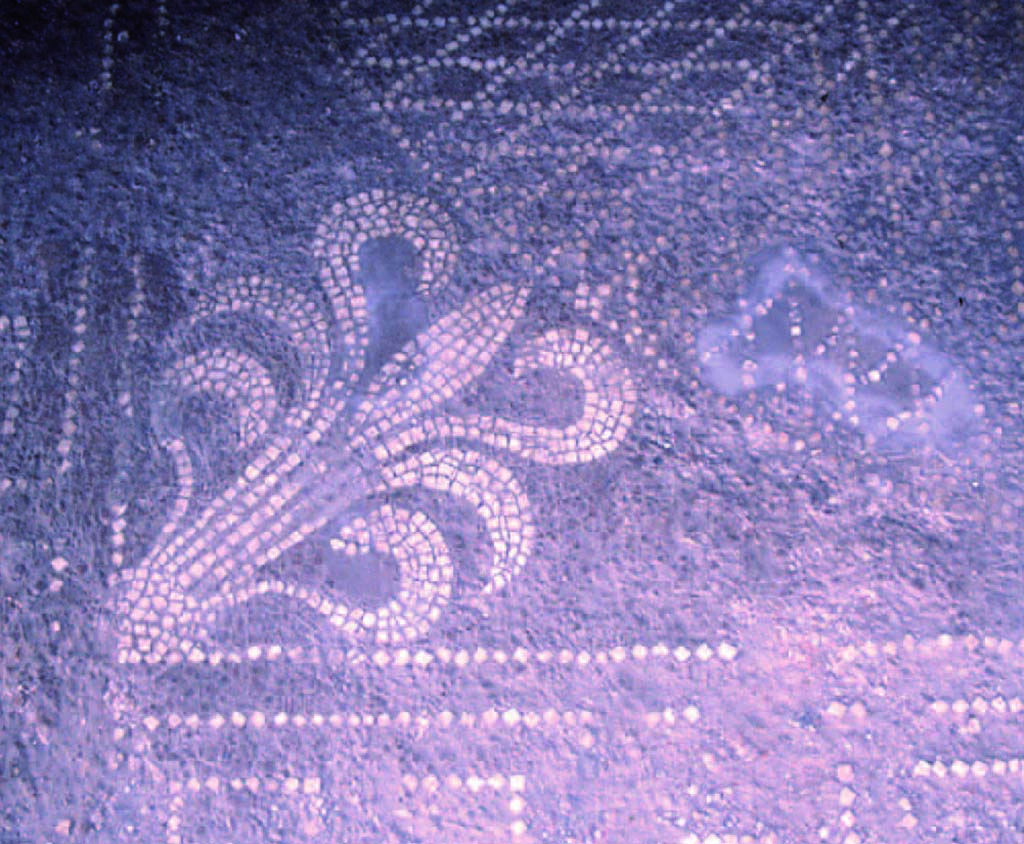 I.14.2 Pompeii. Room H, detail of palmette in mosaic floor.
Fig. 248 � Palmette du pavement du salon de la maison I 14, 2 (photographie V�ronique Blanc-Bijon).
Voir V�ronique Blanc-Bijon : Les Sols in Magali Cullin-Mingaud, 2010. La vannerie dans l'Antiquit� romaine: Collection du Centre Jean B�rard 35. Paris. Centre Jean Berard, pp. 233-8, fig. 248. 
https://books.openedition.org/pcjb/706

